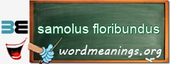 WordMeaning blackboard for samolus floribundus